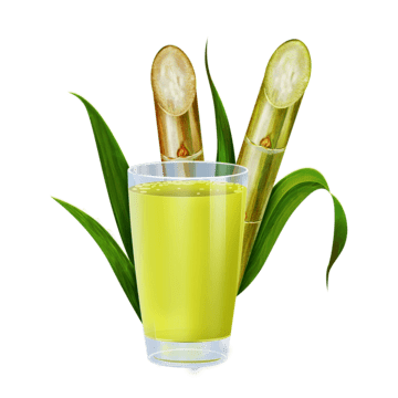 Fresh Fayha Sugar Cane Bottle